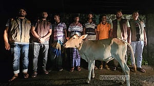 সিরাজগঞ্জে যমুনার চরে গরু খামারীকে হত্যা: ৭ ‘ডাকাত’ গ্রেপ্তার