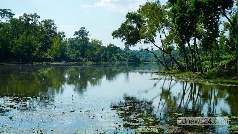 প্রকৃতিকে ভাবলেই কমবে মানসিক চাপ