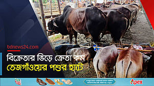 বৃষ্টির বাগড়ায় জমছে না রাজধানীর পশুর হাট