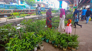 ‘৩০ টাকার গাছের মেলা’