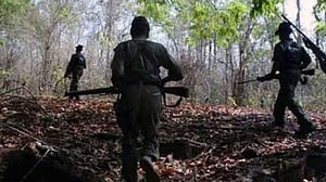 ছত্তিশগড়ে নিরাপত্তা বাহিনীর অভিযানে ১৬ মাওবাদী গেরিলা নিহত