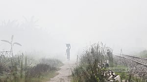 কুয়াশা নয়, কারখানার ধোঁয়ায় ডুবছে পরিবেশ