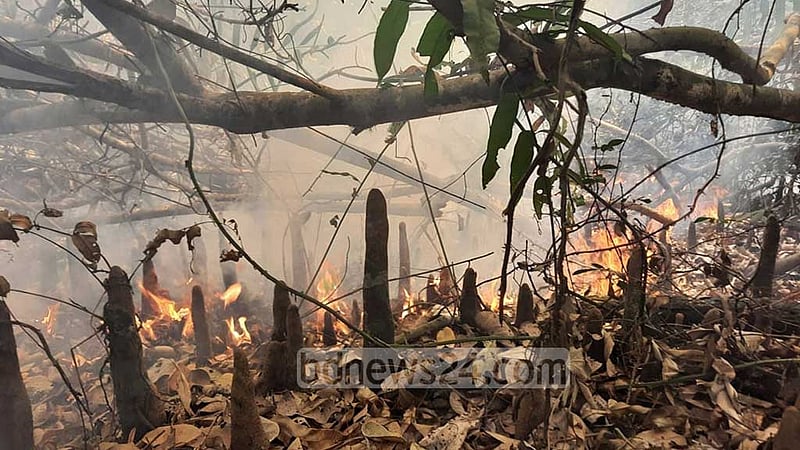 সুন্দরবনে আগুন, নেভাতে কাজ করছে বনবিভাগ ও গ্রামবাসী