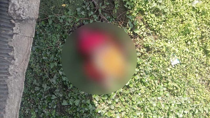 কুমিল্লায় সেতুর নিচে বিলে পড়েছিল হাত-পা বাঁধা নারীর লাশ