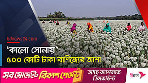 দেশের ‘মোট চাহিদার ৫০ শতাংশ’ পেঁয়াজ বীজ ফরিদপুরের!