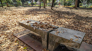 পাতা ঝরার দিনে