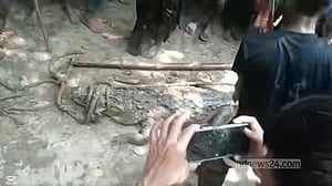 মাদারীপুরে আড়িয়াল খাঁ নদে কুমিরকে পিটিয়ে হত্যা