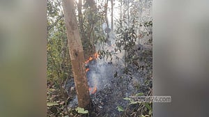 ছয়দিনের মাথায় আবারও লাউয়াছড়া জাতীয় উদ্যানে আগুন
