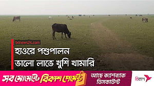 হাওরের মাংস যাচ্ছে অন্য জেলায়
