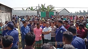 নেত্রকোণায় পাহারাদারকে হত্যা করে খামারের ৭ গরু লুট