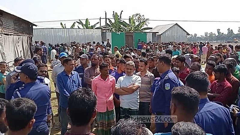 নেত্রকোণায় পাহারাদারকে হত্যা করে খামারের ৭ গরু লুট