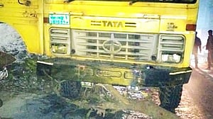 পাবনায় মধ্যরাতে সড়কে গাছ ফেলে যানবাহনে লুটপাটের অভিযোগ