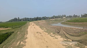 হাওরে বৃক্ষ রোপণের জায়গা পাচ্ছে না পাউবো!