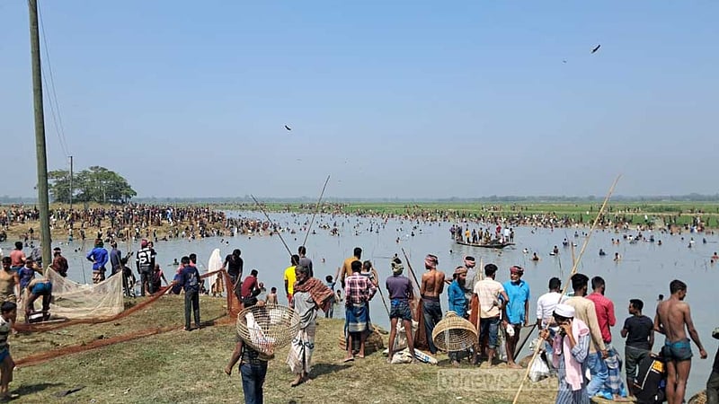 হাওরে ঘোষণা দিয়ে উৎসব করে একের পর এক জলমহাল লুট