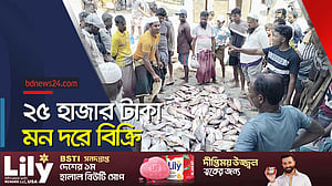 ১৪০০ বড়শিতে একসঙ্গে ২৬০টি কোরাল-ভোল!