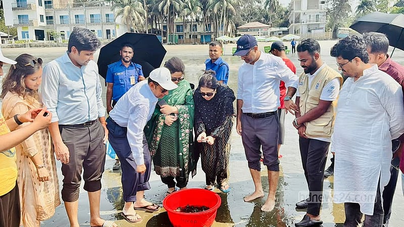 বঙ্গোপসাগরে ছাড়া হল হ্যাচারিতে জন্ম নেওয়া ৫৪৪ কাছিম ছানা