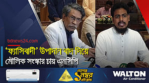 গণতান্ত্রিক রাষ্ট্র প্রতিষ্ঠায় এনসিপির রূপরেখা সহায়ক হবে: আলী রীয়াজ