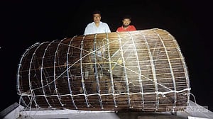 ‘দৈত্যাকার চাঁইয়ে’ ধ্বংস হচ্ছে নদীর পাঙাস মাছ