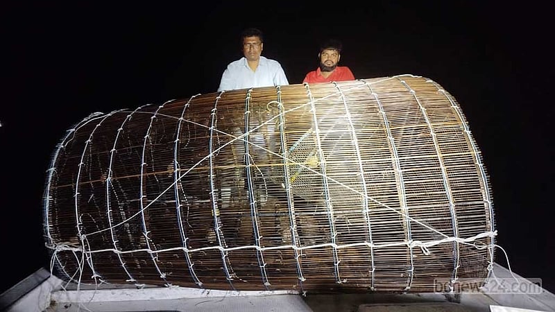 ‘দৈত্যাকার চাঁইয়ে’ ধ্বংস হচ্ছে নদীর পাঙাস মাছ