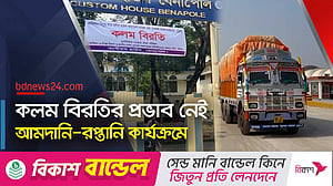 বেনাপোল কাস্টমস হাউজে কলম বিরতির দ্বিতীয় দিন