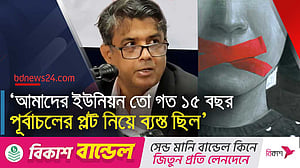 গেল ১৫ বছরে সাংবাদিকদের ভূমিকা পর্যালোচনার জন্য জাতিসংঘকে চিঠি দিচ্ছে সরকার