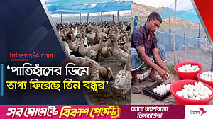 ভ্রাম্যমাণ হাঁসের খামারে মাসিক আয় ২ লাখ টাকার বেশি