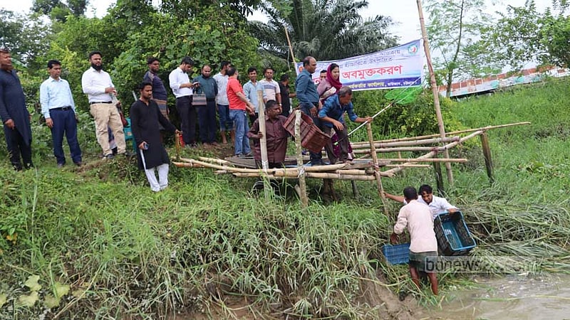 হালদায় ছাড়া হল ৪৪৭ কেজি পোনা