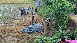 ‘বিদ্যুৎস্পৃষ্টে’ হাতি শাবকের মৃত্যু, গোপন রাখতে দেওয়া হয়েছিল মাটি চাপা