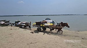 ফরিদপুরে চরাঞ্চলের মানুষের একমাত্র ভরসা ঘোড়ার গাড়ি