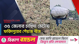 ফরিদপুরের ‘কালো সোনা’; স্বপ্ন দেখাচ্ছে ৫০০ কোটি টাকা বাণিজ্যের