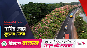 ফুলের রাজ্যে পিচঢালা পথ ঢাকা-চট্টগ্রাম মহাসড়ক