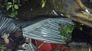 গাইবান্ধায় ঝড়ে ভেঙে পড়া বট গাছ চাপায় প্রাণ গেল চা দোকানির