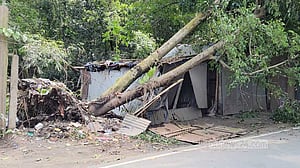 জামালপুরে কালবৈশাখীর তাণ্ডব, ৬ শতাধিক বসতবাড়ি ক্ষতিগ্রস্ত