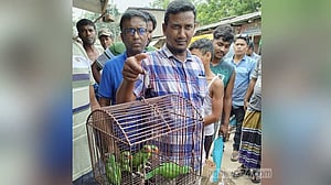 ফেইসবুকে পাখি বিক্রির বিজ্ঞাপন, বিক্রেতাকে জরিমানা, উদ্ধার হল ছানা