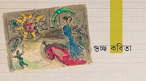 চাণক্য বাড়ৈ’র বৃষ্টি, বই ও অন্যান্য
