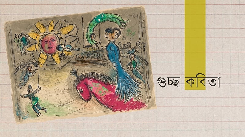 চাণক্য বাড়ৈ’র বৃষ্টি, বই ও অন্যান্য