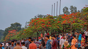 জিয়া উদ্যানে ঢল, কৃষ্ণচূড়ায় মুগ্ধ দর্শনার্থীরা