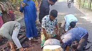 কুড়িগ্রামে নিম্নমানের উপকরণ দিয়ে সড়ক নির্মাণের অভিযোগ