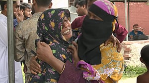 কুষ্টিয়ায় একদিনে সাপের কামড়ে দুজনের মৃত্যু, আলোচনায় রাসেলস ভাইপার