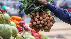 বাজারে গ্রীষ্মের ফল
