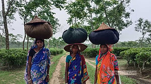 ৩১ চা বাগানে শ্রমিক অসন্তোষের ঝুঁকি দেখছে এনএসআই: বাণিজ্যমন্ত্রী