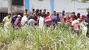 নওগাঁয় বিদ্যুতের তার ‘চুরি’ করতে গিয়ে যুবকের মৃত্যু
