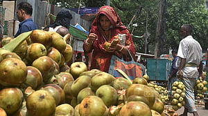 তালশাঁস বিক্রির ধুম