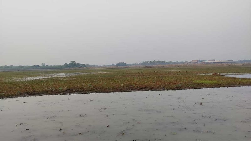 রাজশাহীর দুই জলাভূমিকে ‘প্রাণী অভয়ারণ্য’ ঘোষণা