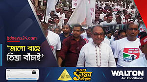 দেশের মানুষকে বুঝবে, এমন সরকারের অপেক্ষায় বিএনপি: মির্জা আব্বাস