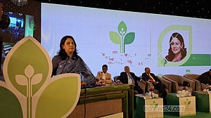 মধুপুরের শালবনে ইউক্যালিপটাস তুলে লাগানো হবে শাল গাছ:  রিজওয়ানা