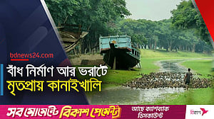 একসময়ের খরস্রোতা কানাইখালি এখন গোচারণভূমি