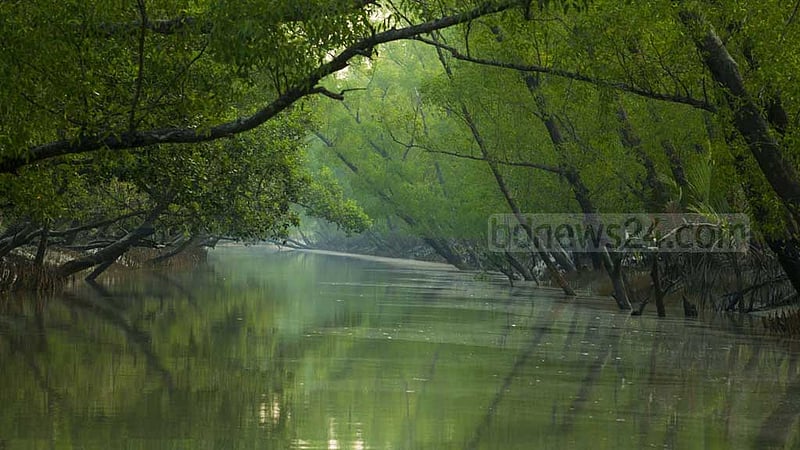 সুন্দরবনের ১০ কিলোমিটার এলাকাজুড়ে নতুন শিল্পপ্রতিষ্ঠান স্থাপনে নিষেধাজ্ঞা