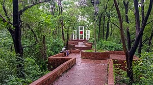 সবুজে ঘেরা শহীদ মিনার