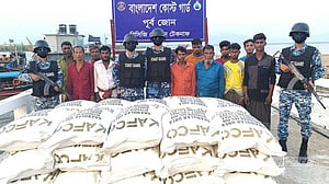 ‘মিয়ানমারে পাচারের সময় বিপুল সারসহ ১১ রোহিঙ্গা’ আটক